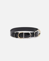 Shiny leather belt with metal loops, 4 cm - | Pinko