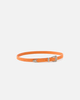 Ceinture en cuir embossé crocodile avec boucle western 1,7 cm - | Pinko